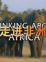 走进非洲第十二章勃兰特之乡 普通话版