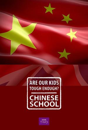 我们的孩子足够坚强吗中式学校