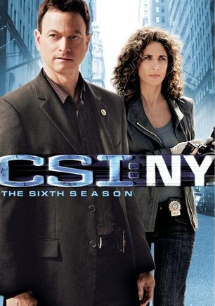 CSI纽约篇第八季